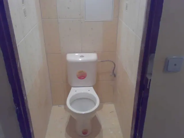 Rekonstrukce bytu Odolena Voda – WC